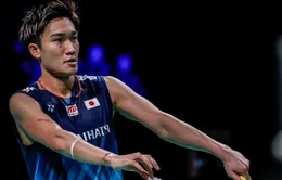 Kento Momota dừng bước tại bán kết giải cầu lông Pháp mở rộng