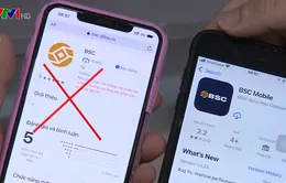 Mất cả trăm triệu đồng vì nộp tiền vào app mạo danh ngân hàng