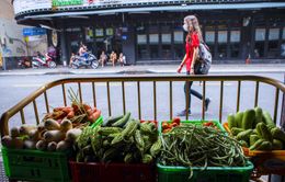 TP Hồ Chí Minh: Quán bar, nhà hàng đổi sang bán rau