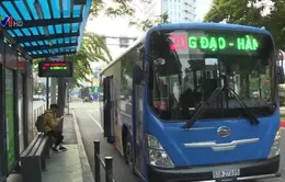 Từ 1/11, thêm 8 tuyến xe bus tại TP Hồ Chí Minh hoạt động trở lại