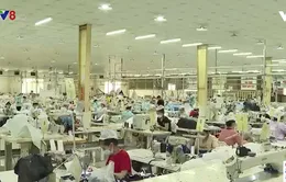 Quảng Ngãi thiếu hàng chục nghìn lao động cho phục hồi sản xuất