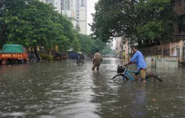 Mưa lớn hoành hành ở Ấn Độ và Sri Lanka khiến 41 người thiệt mạng