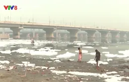 Bọt độc hại bao phủ dòng sông Yamuna tại Ấn Độ