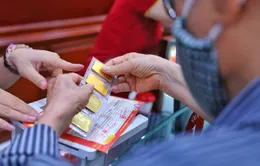 Giá vàng bật tăng trở lại