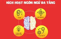 Thoát khỏi nỗi sợ tiếng Anh nhờ phương pháp MLLA của học viện Metis