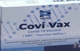 Ai Cập thử nghiệm vaccine nội địa đầu tiên