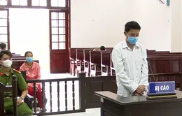 Lĩnh án tù do dùng điện bẫy chuột gây chết người