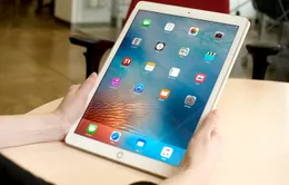 Hai cha con thoát chết trong vụ rơi máy bay nhờ chiếc iPad