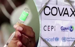 COVAX đã phân phối hơn 500 triệu liều vaccine COVID-19