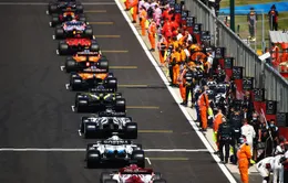 F1: Một đội đua phối hợp thế nào trong suốt chặng đua?