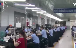 Phú Yên giải quyết kịp thời bảo hiểm thất nghiệp cho người lao động