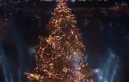 Thắp sáng cây thông Noel ở thủ đô Hy Lạp