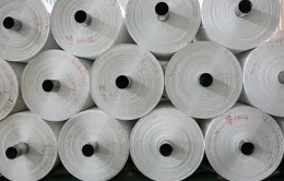 Giấy làm từ đá hứa hẹn thay đổi ngành sản xuất giấy