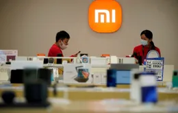 Xiaomi chưa thể đánh bại Samsung, Apple