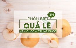 Lê Hàn Quốc giả được bày bán tràn lan trên thị trường