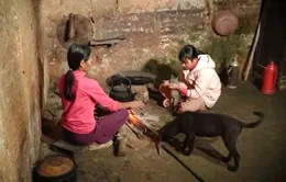 Cặp lá yêu thương: Ngôi nhà mới vắng cha
