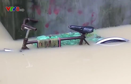 Bình Định: Học sinh phải nghỉ học do nước lũ nhấn chìm hàng chục ngàn ngôi nhà