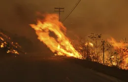 California dựa vào khí đốt tự nhiên để thắp sáng trong mùa đông này