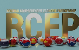 Hiệp định RCEP có hiệu lực từ 1/1/2022, Việt Nam hưởng lợi thế nào?