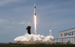 SpaceX mất hàng chục vệ tinh Internet tốc độ cao do bão từ