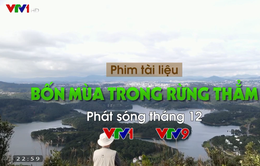 PTL Bốn mùa trong rừng thẳm: Chuyện ông lão 80 tuổi yêu rừng bằng cả trái tim