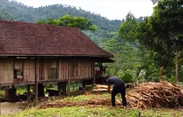 Nỗi buồn lao động trẻ vùng khó khăn