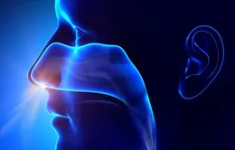 Những khác biệt giữa các hiện tượng của rối loạn chức năng khứu giác liên quan tới COVID-19