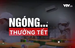 Thưởng Tết: Tết nghĩa là hi vọng?