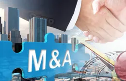 2021 - Năm "sôi động" của hoạt động M&A toàn cầu