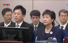 Hàn Quốc đặc xá cho cựu tổng thống Park Geun-Hye nhân dịp năm mới