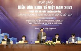 Hôm nay, khai mạc Diễn đàn kinh tế Việt Nam 2021