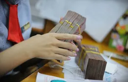 Sôi động cuộc đua tăng vốn của ngành ngân hàng