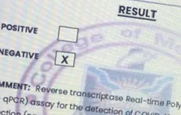 Europol cảnh báo về tình trạng làm giả giấy xác nhận âm tính với SARS-CoV-2
