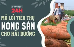 Bản tin Chống dịch 24h tối 21/2: Mở lối tiêu thụ nông sản cho Hải Dương