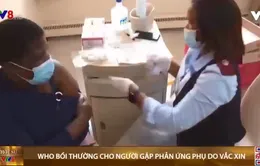 WHO bồi thường cho người gặp phản ứng phụ do vaccine