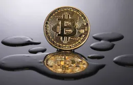 Bitcoin lao dốc mạnh, về mốc 47.000 USD