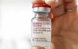 Moderna thử nghiệm vaccine ngừa biến thể SARS-CoV-2 từ Nam Phi