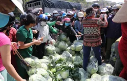 Giải cứu nông sản vùng dịch: Phép thử cho sự “hiệp đồng tác chiến”của các Bộ, ngành, địa phương