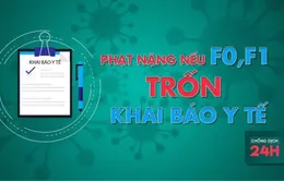 Bản tin Chống dịch 24h tối ngày 3/2: Phạt nặng nếu F1, F2 trốn khai báo y tế