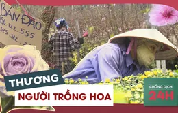 Bản tin Chống dịch 24h sáng 3/2: Thương những người "ngồi trên đống lửa"