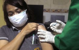 Indonesia phê duyệt vaccine Sinovac cho người cao tuổi