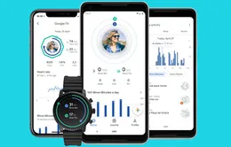 Google ra mắt ứng dụng đo chức năng hô hấp và nhịp tim