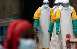 Ebola đã tái xuất hiện ở châu Phi