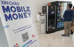 Các nhà mạng sẵn sàng triển khai Mobile Money