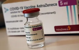 Không tìm thấy mối liên hệ giữa tình trạng đông máu và vaccine của AstraZeneca