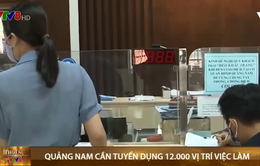 Quảng Nam cần tuyển dụng 12.000 vị trí việc làm