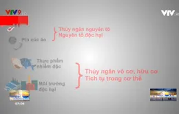 Cảnh báo ngộ độc thủy ngân từ nhiệt kế ở trẻ em