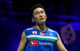 Kento Momota bị loại khỏi giải cầu lông toàn Anh mở rộng