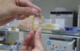 Nha Trang căng mình chống dịch, gồng mình điều chế vaccine COVID-19