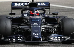 F1: Honda cam kết duy trì hệ thống đào tạo trẻ